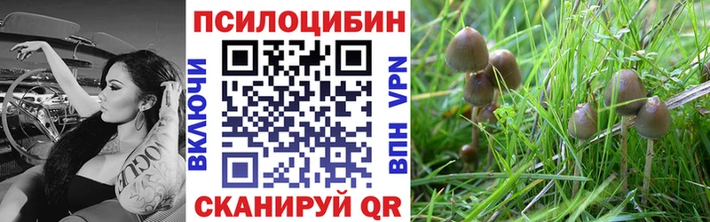 где найти наркотики  Сосенский  Галлюциногенные грибы Cubensis 